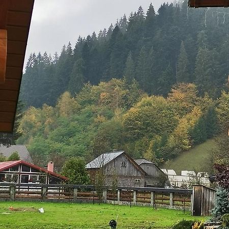Casa De Poveste 스체비차 외부 사진